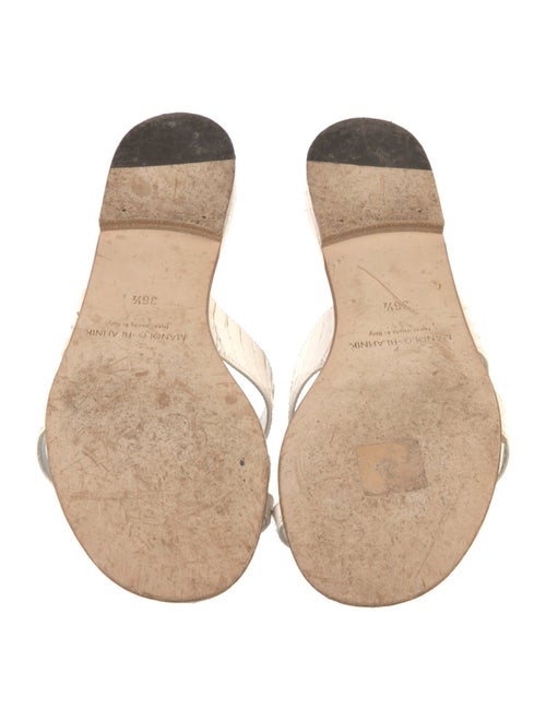 Manolo Blahnik Leather Animal Print Slides