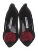 Manolo Blahnik Suede Pumps
