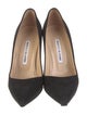 Manolo Blahnik Suede Pumps