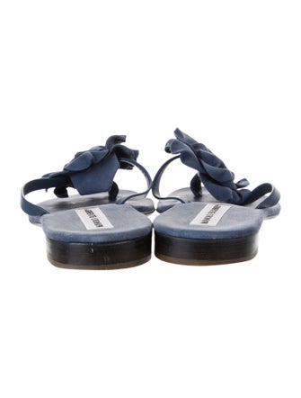 Manolo Blahnik Suede Slides
