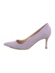 Manolo Blahnik Suede Pumps