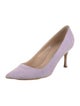 Manolo Blahnik Suede Pumps