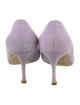 Manolo Blahnik Suede Pumps