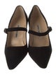 Manolo Blahnik Suede Bow Accents Pumps