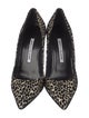 Manolo Blahnik Animal Print Crystal Embellishments Pumps