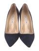Manolo Blahnik Suede Pumps