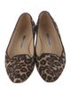 Manolo Blahnik Ponyhair Animal Print Ballet Flats