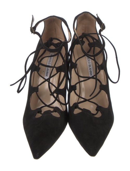 Manolo Blahnik Suede Pumps