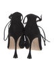 Manolo Blahnik Suede Pumps