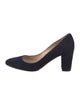 Manolo Blahnik Suede Pumps