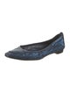 Manolo Blahnik Sequins Sequin Embellishments Ballet Flats