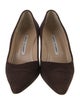 Manolo Blahnik Suede Pumps