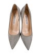 Manolo Blahnik Suede Pumps