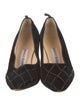 Manolo Blahnik Velvet Pumps