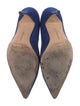 Manolo Blahnik Suede Pumps