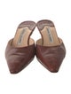Manolo Blahnik Lizard Mules