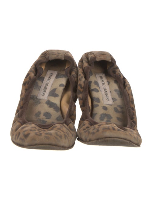 Manolo Blahnik Suede Printed Ballet Flats