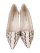 Manolo Blahnik Snakeskin Animal Print Pumps