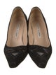 Manolo Blahnik Suede Pumps