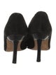 Manolo Blahnik Suede Pumps