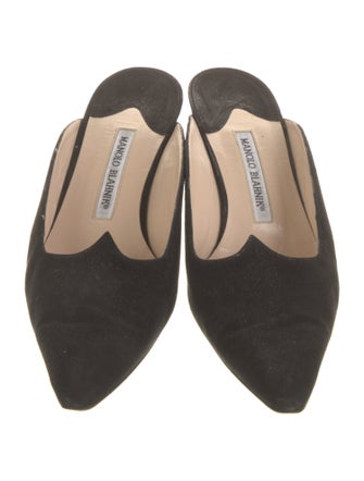 Manolo Blahnik Suede Mules