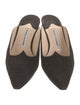 Manolo Blahnik Suede Mules