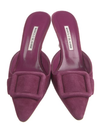 Manolo Blahnik Suede Mules