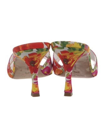 Manolo Blahnik Floral Print Slides