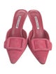 Manolo Blahnik Suede Mules
