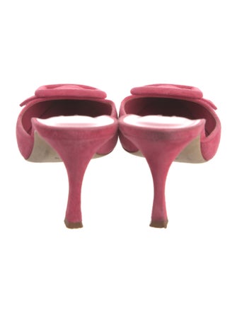 Manolo Blahnik Suede Mules