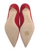 Manolo Blahnik Suede Pumps