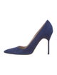 Manolo Blahnik Suede Pumps