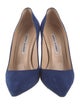 Manolo Blahnik Suede Pumps