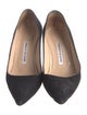 Manolo Blahnik Suede Pumps