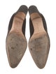 Manolo Blahnik Suede Pumps