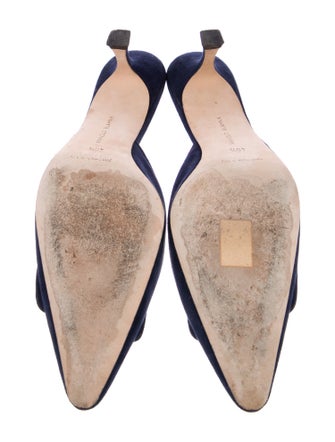 Manolo Blahnik Suede Mules
