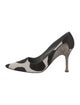 Manolo Blahnik Ponyhair Animal Print Pumps