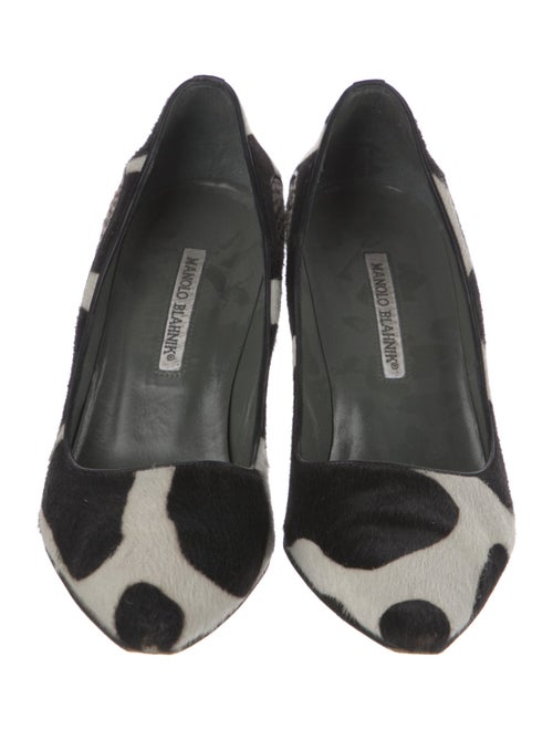 Manolo Blahnik Ponyhair Animal Print Pumps