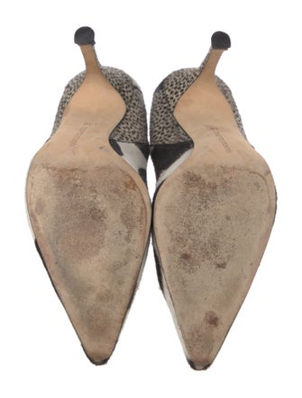 Manolo Blahnik Ponyhair Animal Print Pumps
