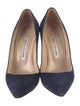 Manolo Blahnik Suede Pumps