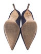 Manolo Blahnik Suede Pumps
