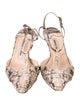 Manolo Blahnik Snakeskin Animal Print T-Strap Pumps