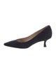 Manolo Blahnik Suede Pumps