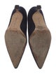Manolo Blahnik Suede Pumps