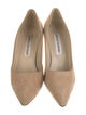 Manolo Blahnik Suede Pumps