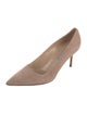 Manolo Blahnik Suede Pumps