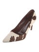 Manolo Blahnik Ponyhair Animal Print Pumps