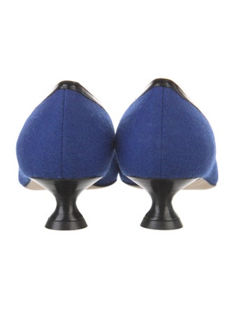 Manolo Blahnik Pumps