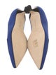Manolo Blahnik Pumps