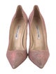 Manolo Blahnik Glitter Glitter Accents Pumps